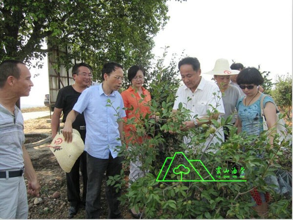 江西省油茶辦主任、工程師孫勇、省科技廳農(nóng)村工作處副處長(zhǎng)、副調(diào)研員尹伊等基地指導(dǎo)工作